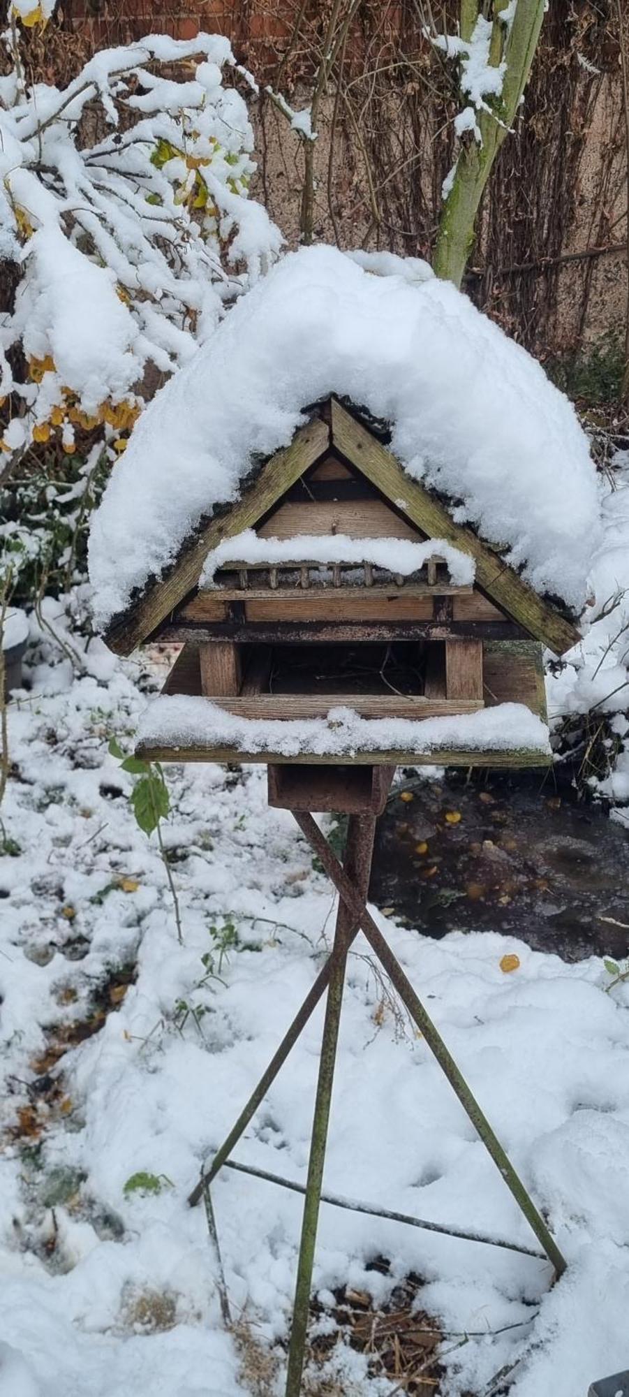 Bauernhof Privatzimmer Hortus Sandrine Gemeinschaftsbad Free Wifi Hausbreitenbach Rum bild